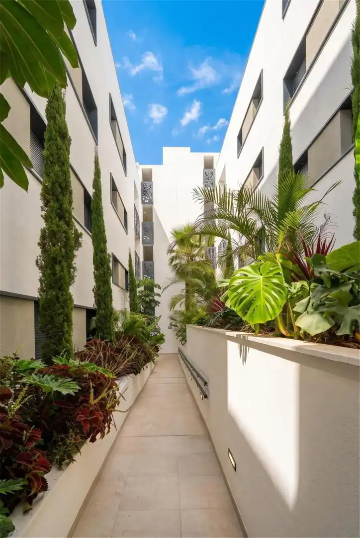 Planta baixa de lloguer a Centro