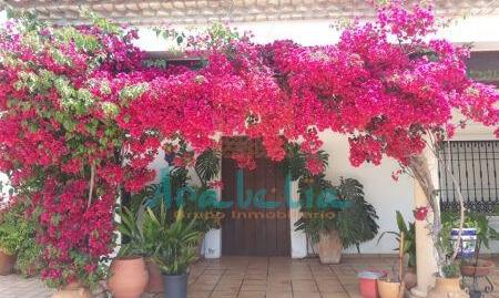 Foto 2 de Casa o xalet en venda a Sagunto - Edisol, Córdoba Capital