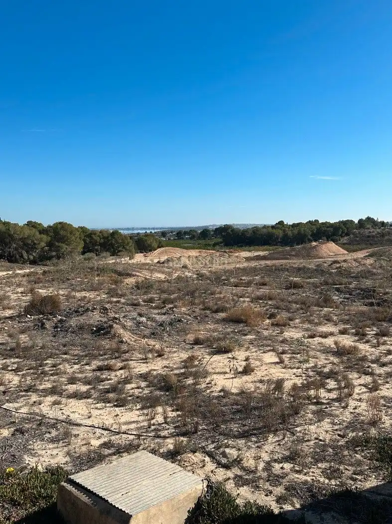 Terrain rustique à vendre à Camino de Catral 31, imagen 15