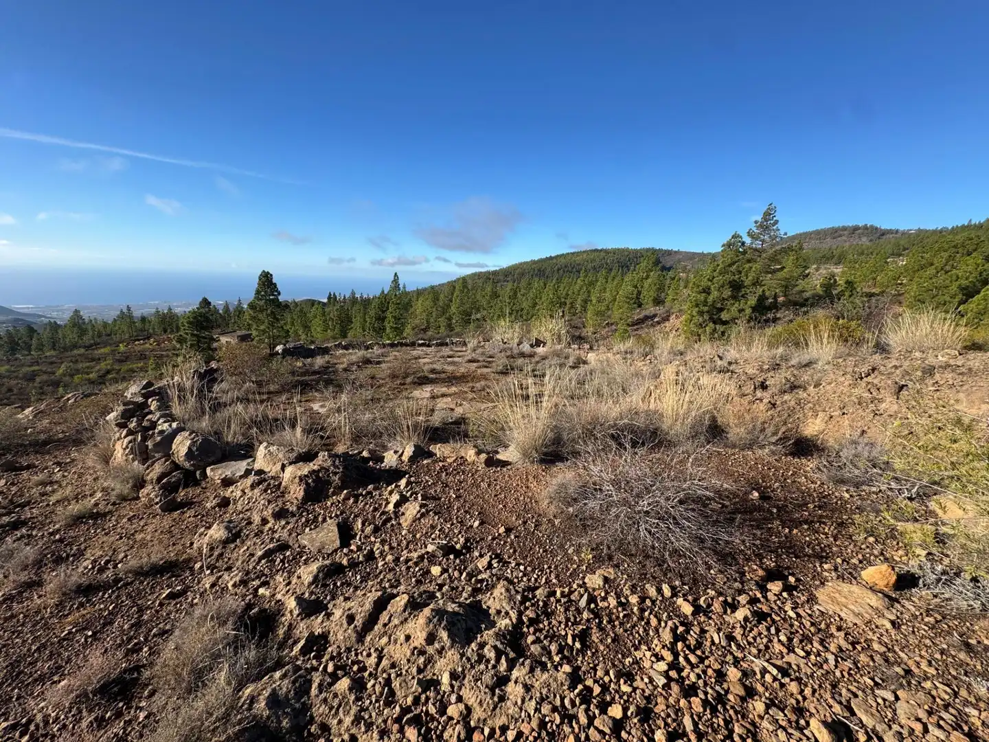 Finca rústica en venta en Granadilla de Abona