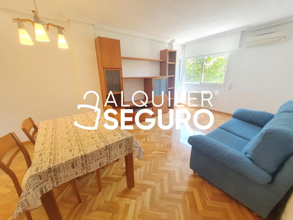 Living room of Flat to rent in  Madrid Capital  with Air Conditioner, Heating and Furnished