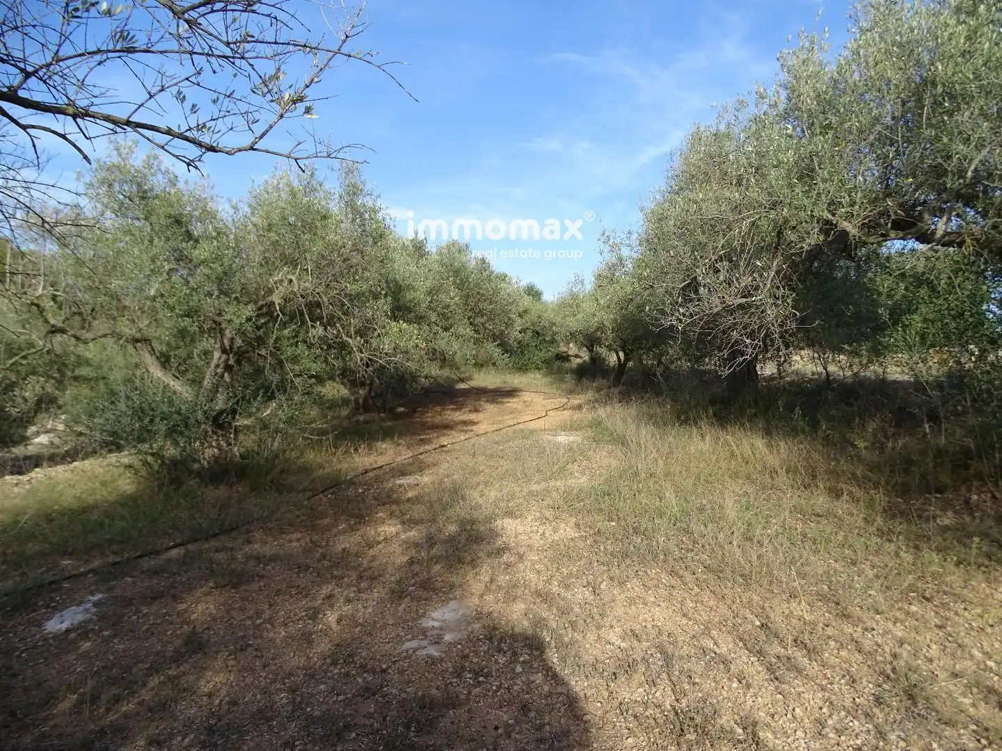 Terrain rustique à vendre à 11, imagen 4