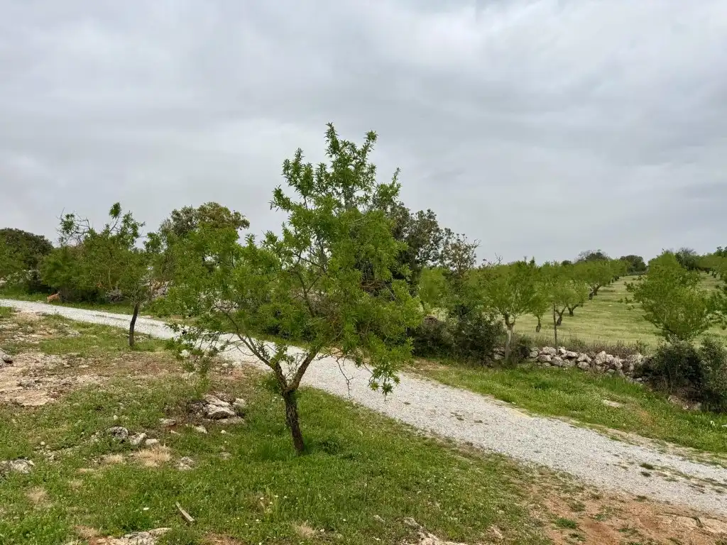 Casa o chalet en venta en Alhama de Granada