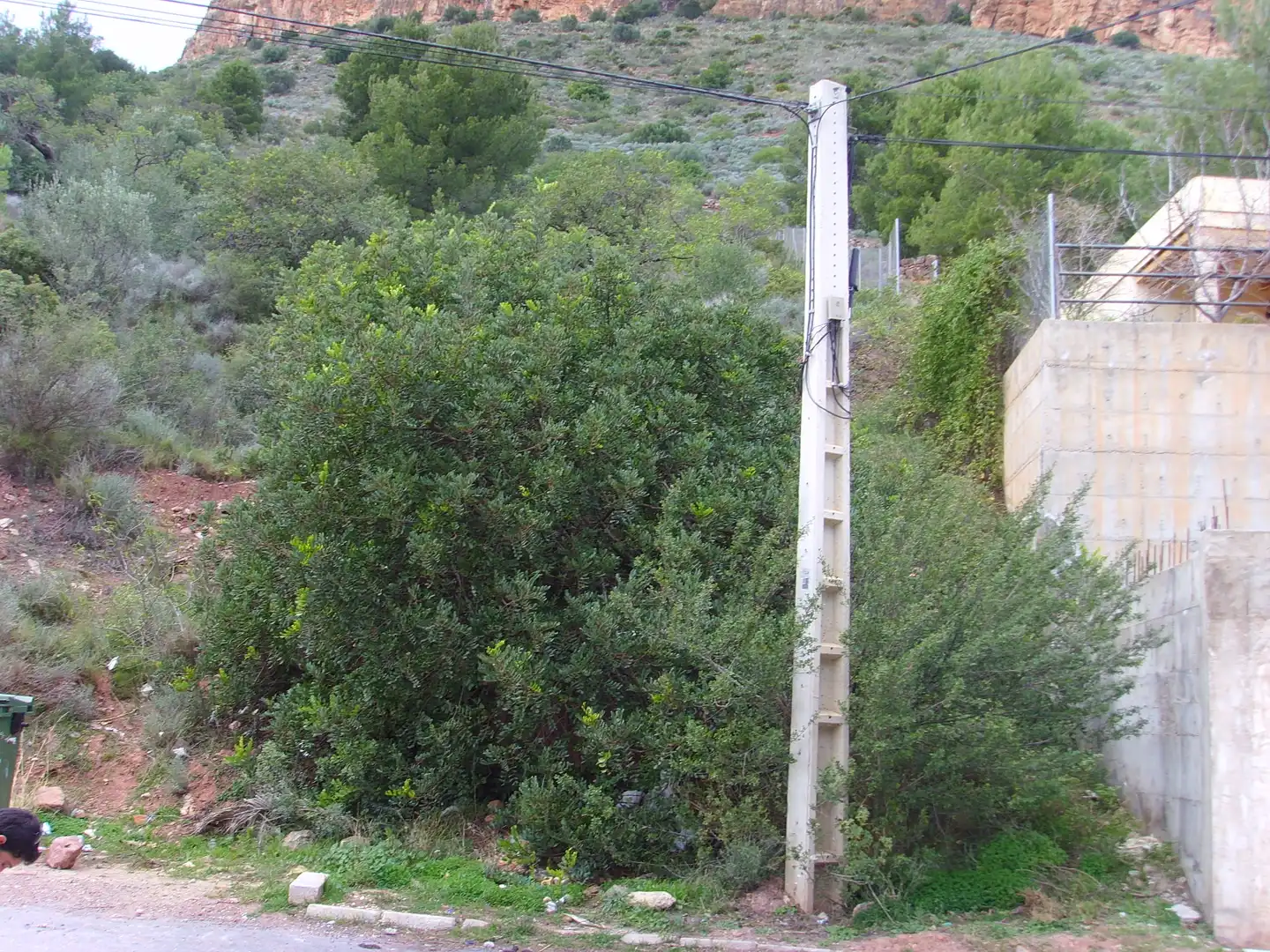 Residential land for sale in Gilet, imagen 4