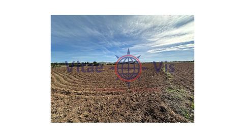 Foto 3 de Casa o chalet en venta en Diseminados Alara, Vélez-Blanco, Almería