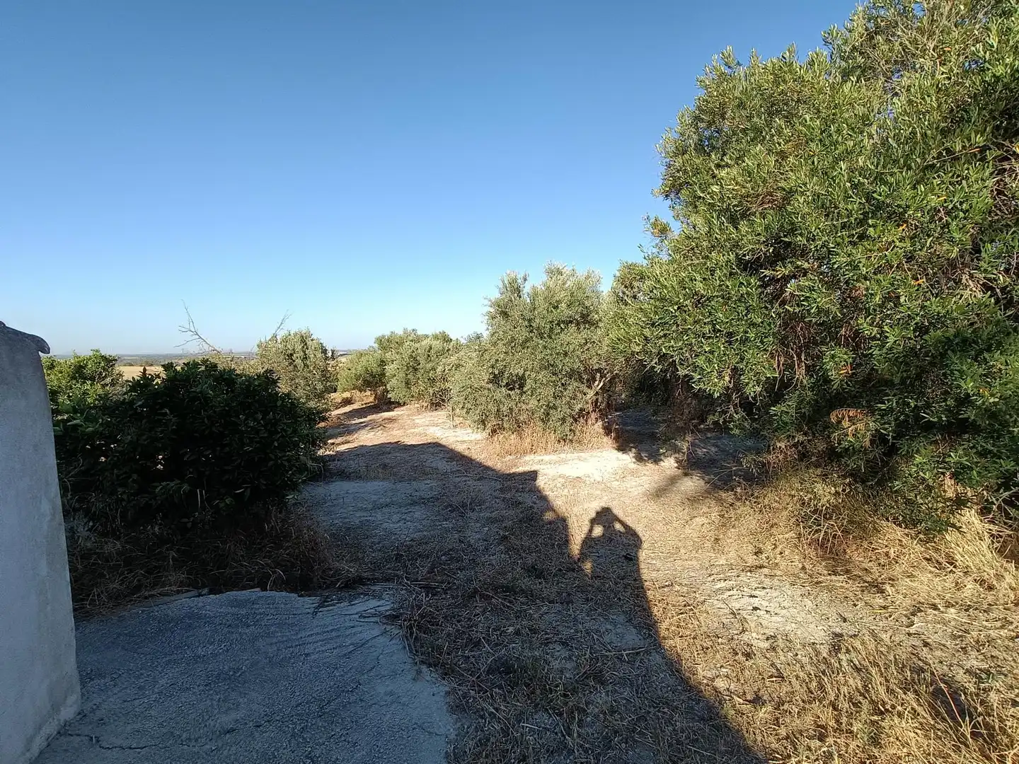 Casa rústica en venda a Arcos de la Frontera, imagen 29