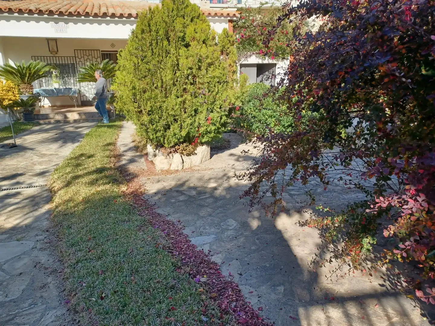 Jardí de Casa o xalet en venda en Cubelles amb Jardí privat