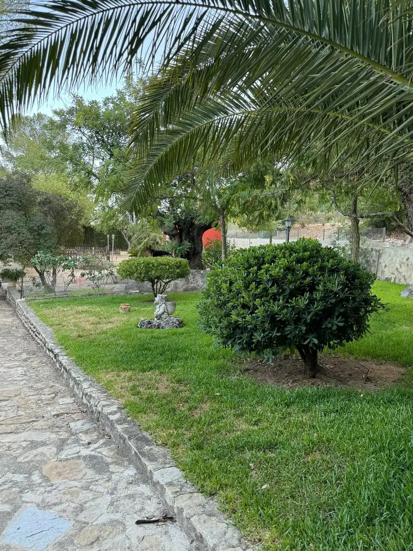 Casa con piscina en venta en Muro de Alcoy, imagen 6