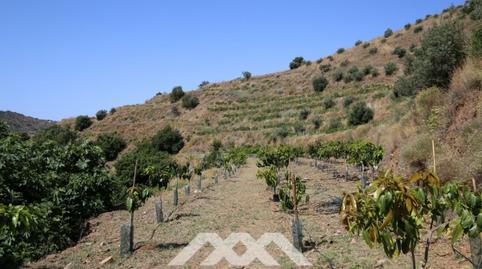 Foto 3 de Casa o xalet en venda a Unnamed Road, Totalán, Málaga