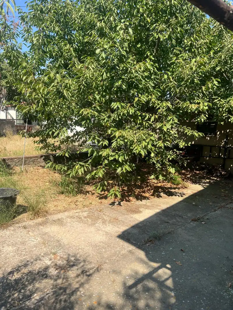 Casa o xalet en venda en Mollet del Vallès amb Calefacció, Jardí privat i Terrassa