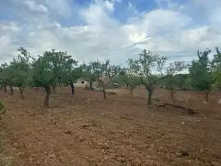 Terreno rustico in vendita a Cabanes, imagen 3