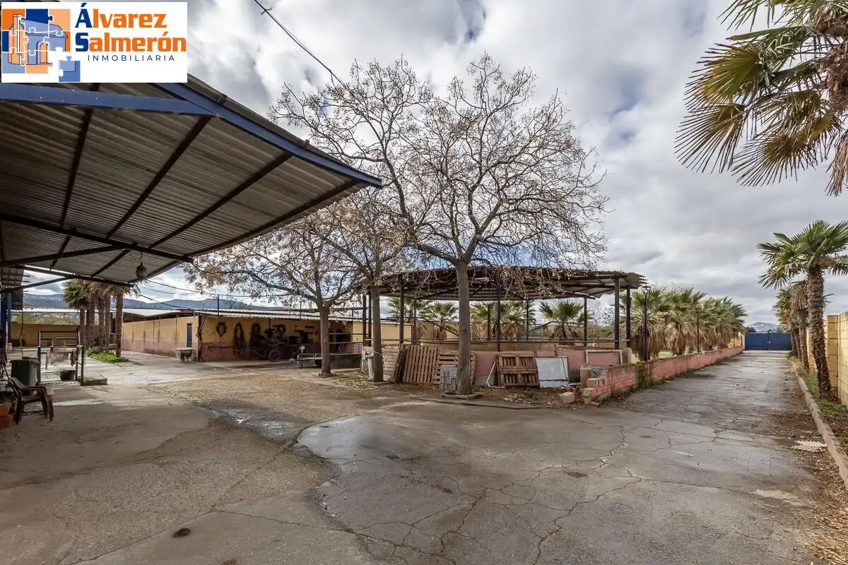 Casa o xalet en venda en La Zubia amb Jardí privat