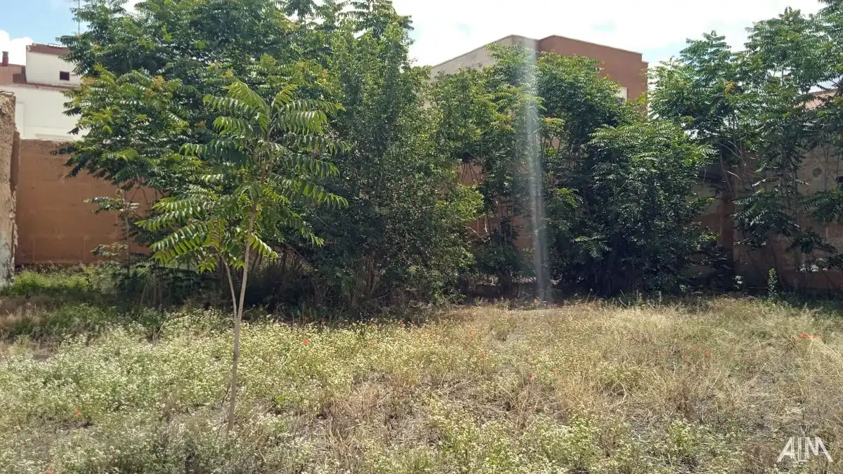 Terrenys i solars en venda a Alfonso Mellado, imagen 2