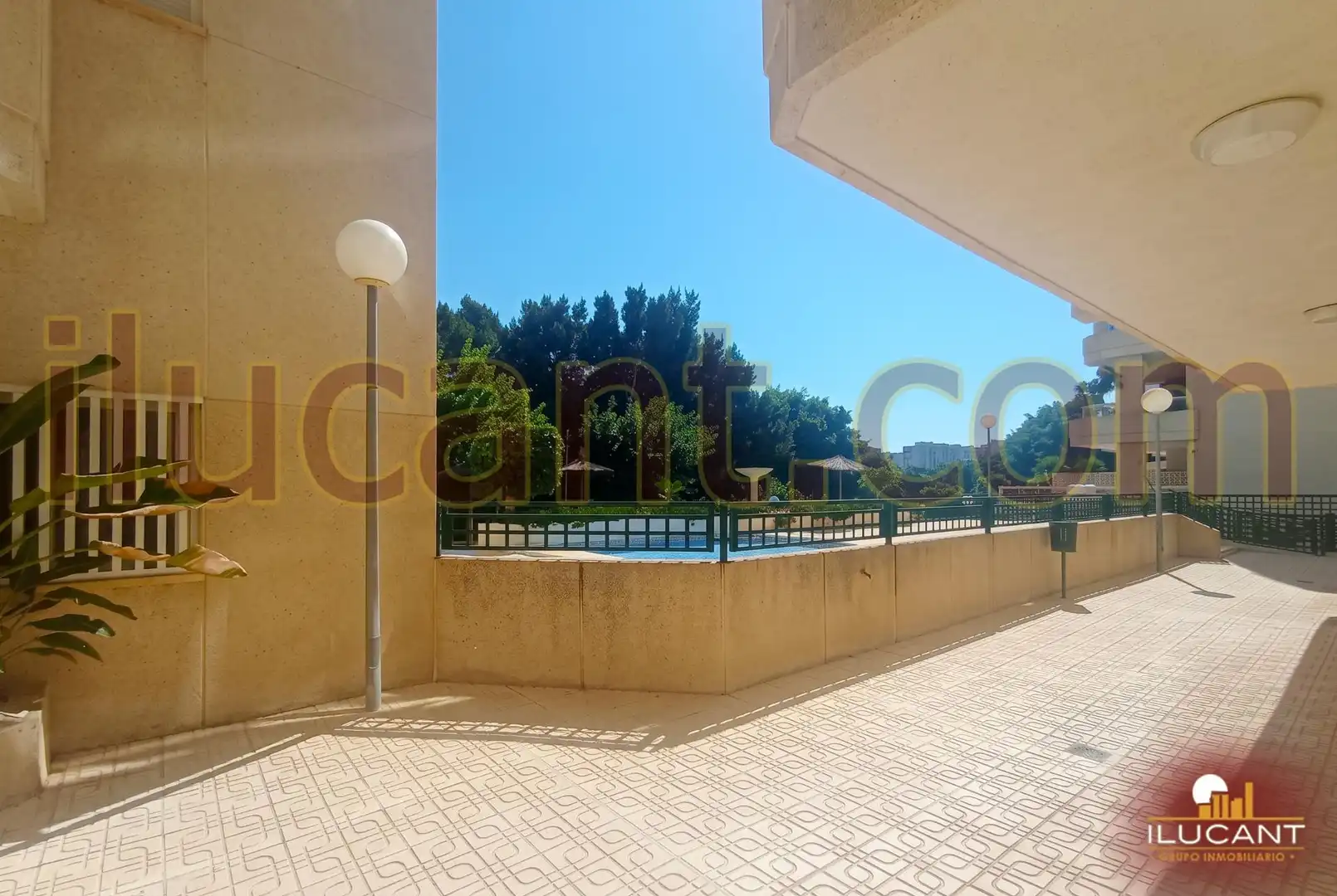 Pis amb piscina en venda a Playa de San Juan - El Cabo de las Huertas, imagen 4