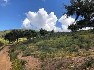 Terreno en venta en Zufre