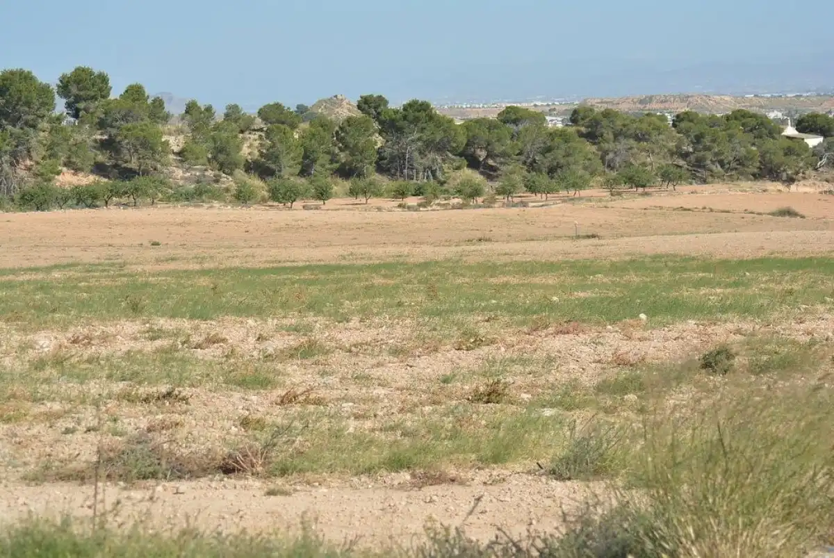 Terreni e lotti in vendita a Campo de Murcia, imagen 10
