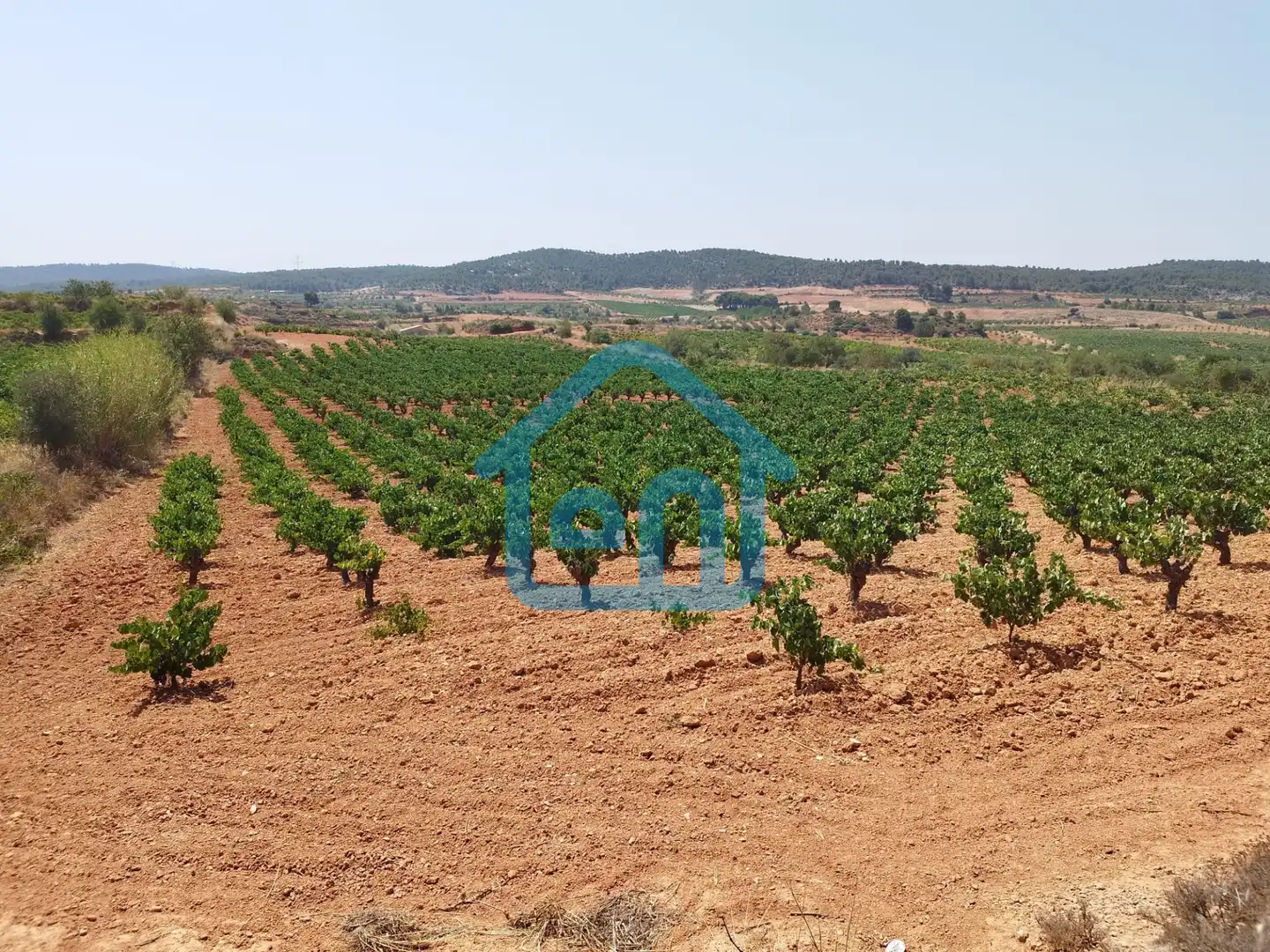 Terreno rustico in vendita a Requena, imagen 4