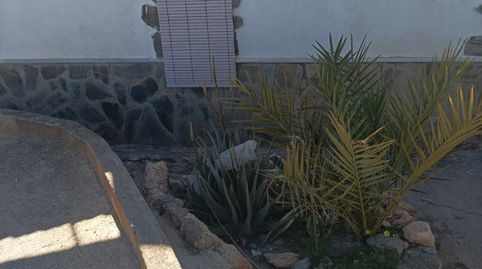 SE VENDE CORTIJO CON TERRENO, imagen 2