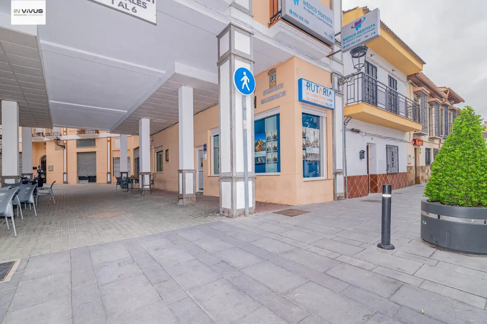 Gewerbefläche zur Miete in Plaza alta, imagen 8