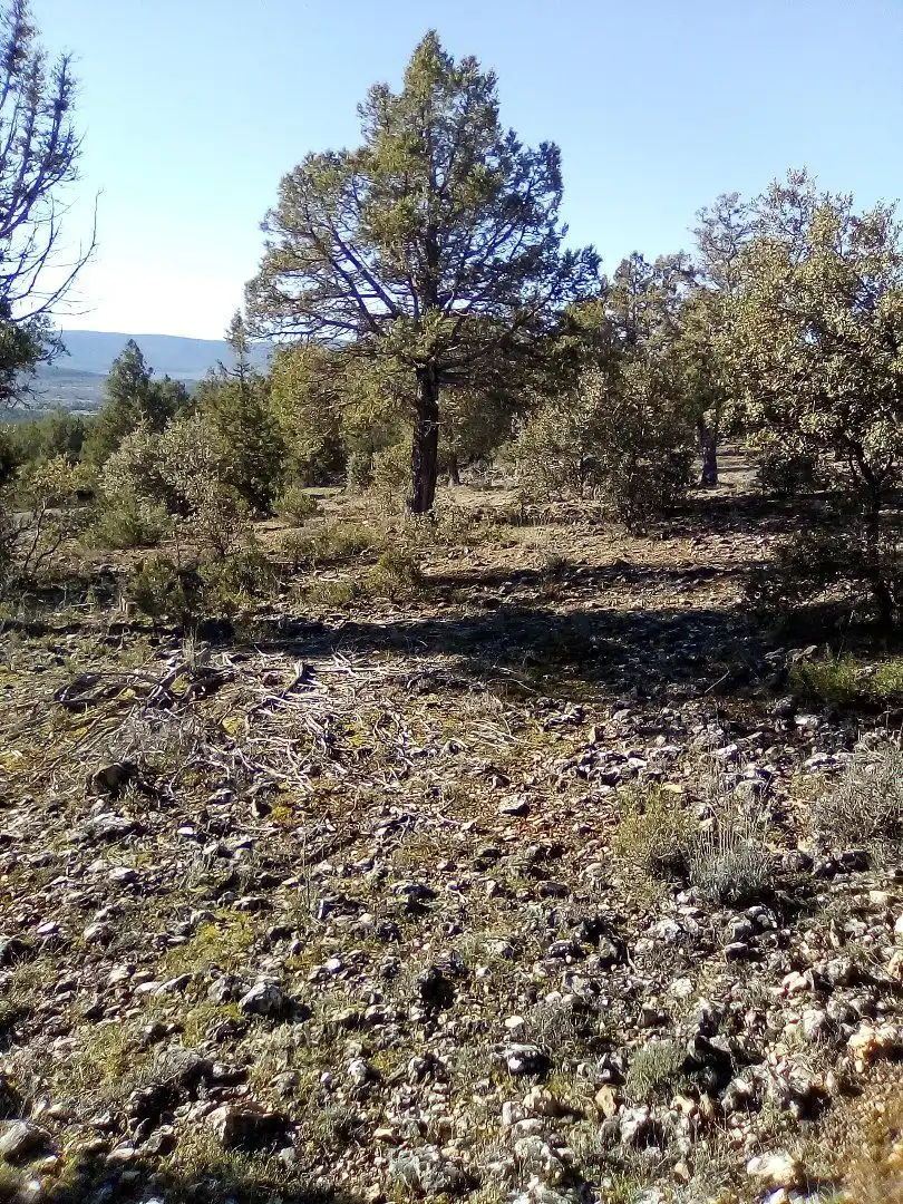Terreno en venta en Casla