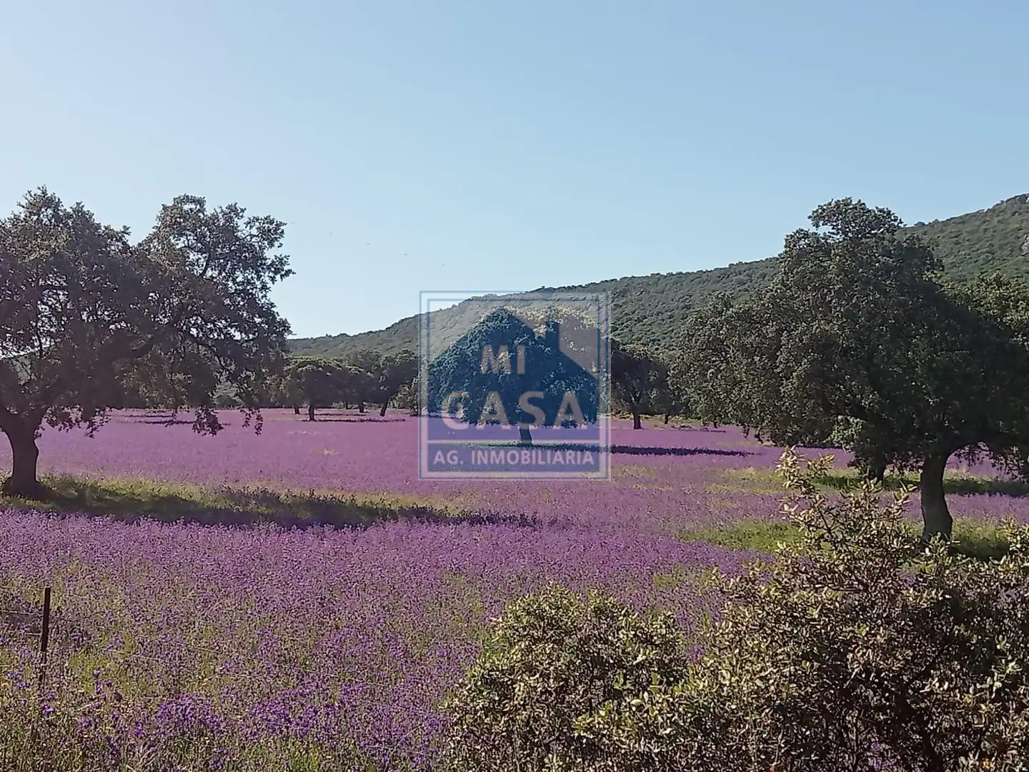 Finca rústica en venta en Oliva de Mérida con Aire acondicionado, Calefacción y Terraza