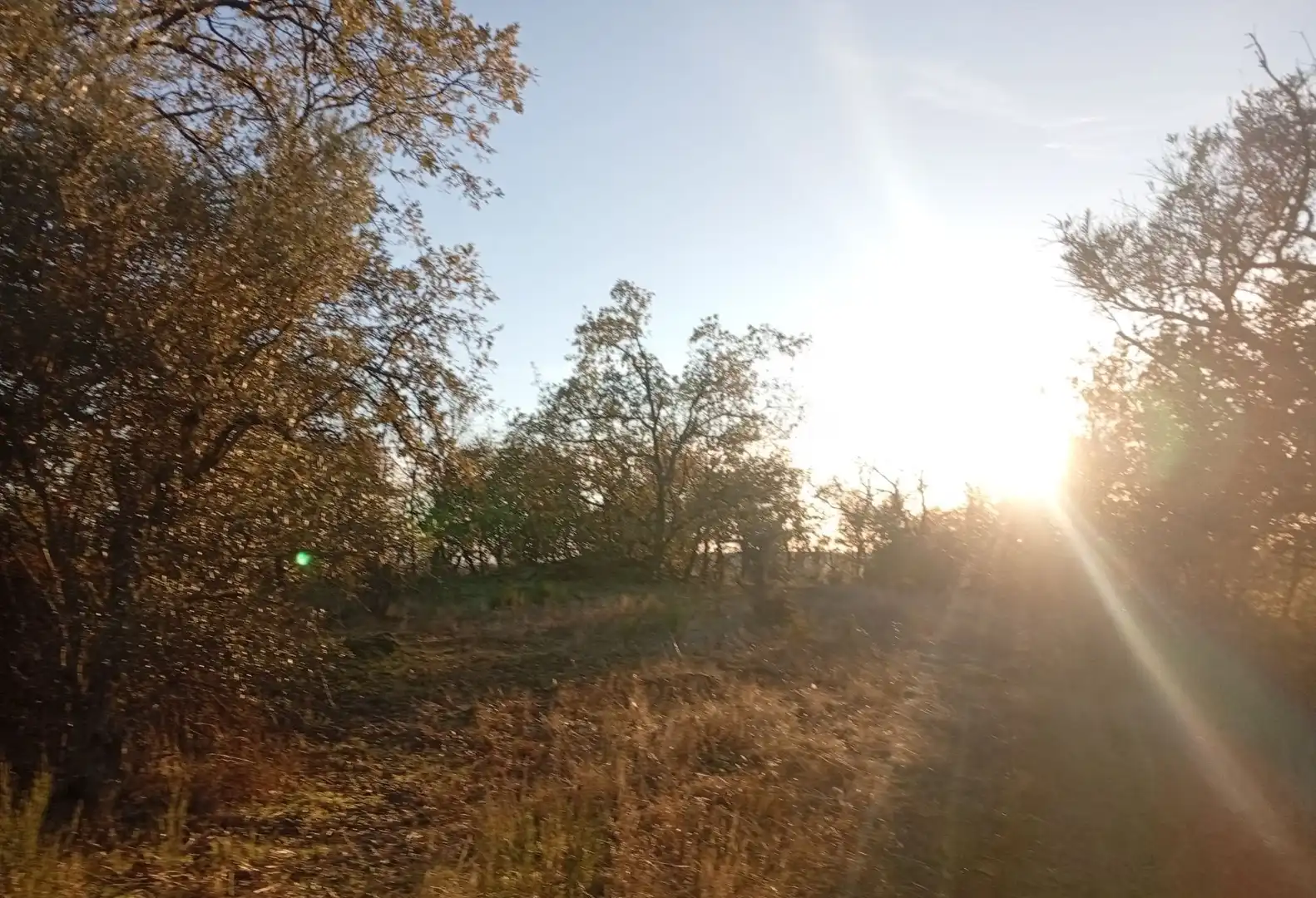 Terreni e lotti in vendita a Viandar de la Vera, imagen 29