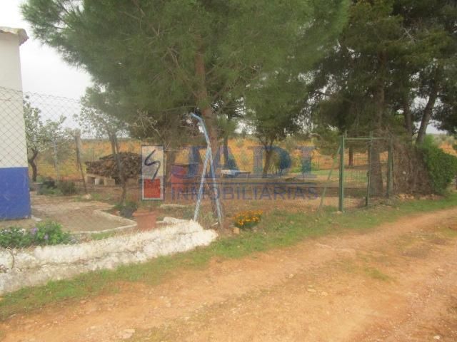 Finca rústica en venda en Valdepeñas amb Traster