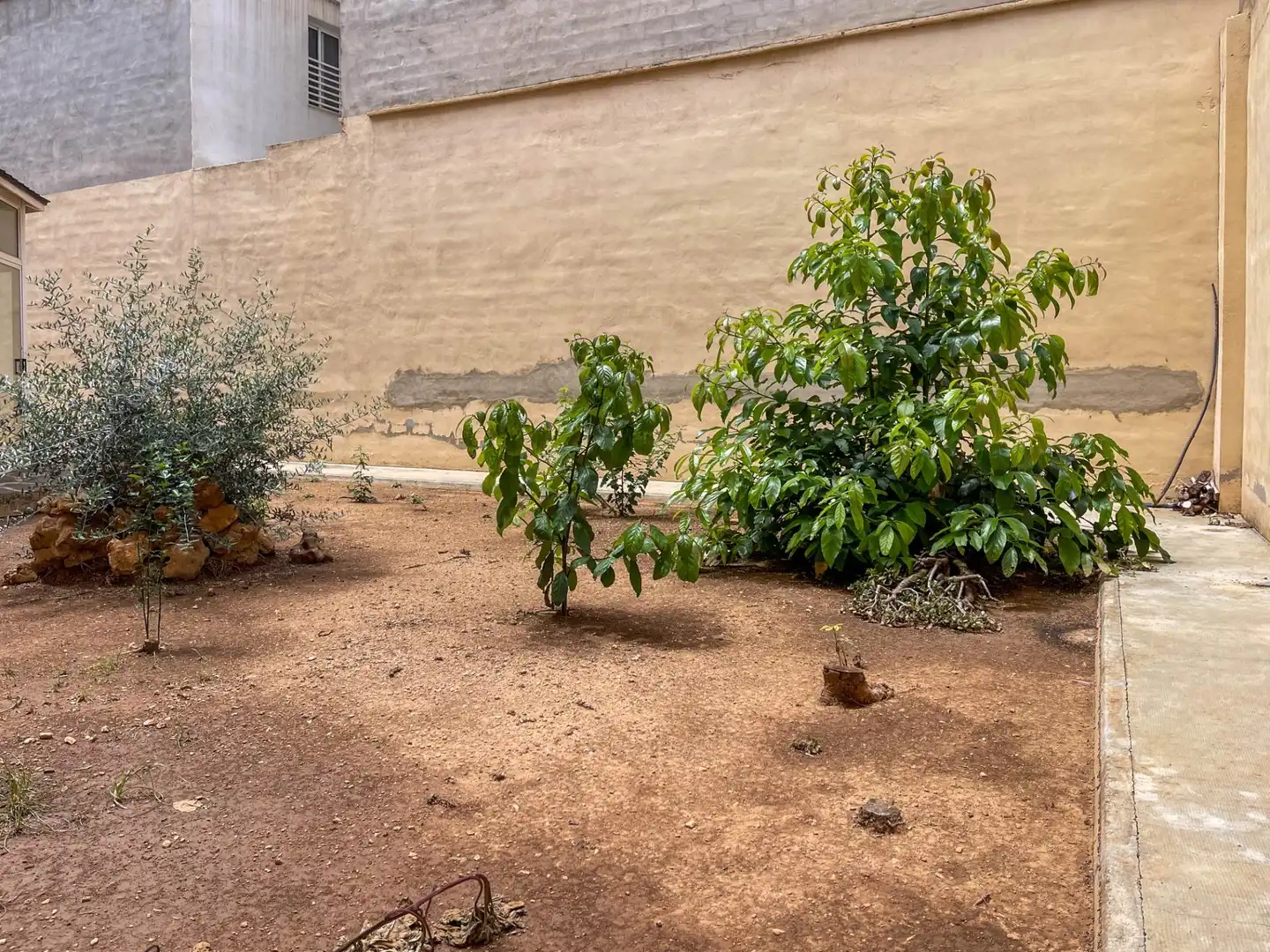 Garden of Houses for sale in Catarroja  with Balcony