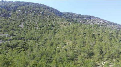 Photo 2 of Land for sale in Palava, Bancalet de Enrique, Ribamar, Ameler, S/n, Alcossebre, Castellón