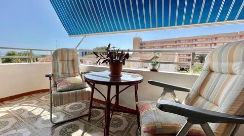Photo 2 of Attic for rent in Punta Prima, Torrevieja