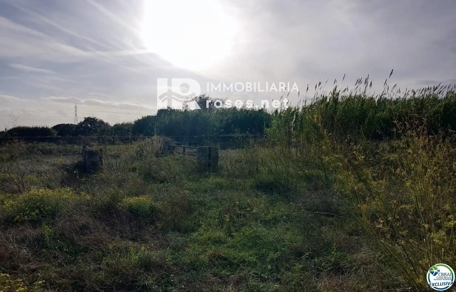 Terrain rustique à vendre à Vilamacolum, imagen 8