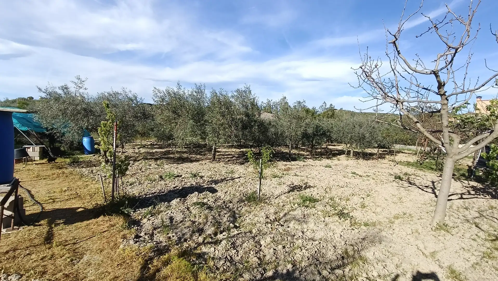 Land for sale in Las Herencias
