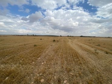 Rural land for sale in Calle Calatrava 32