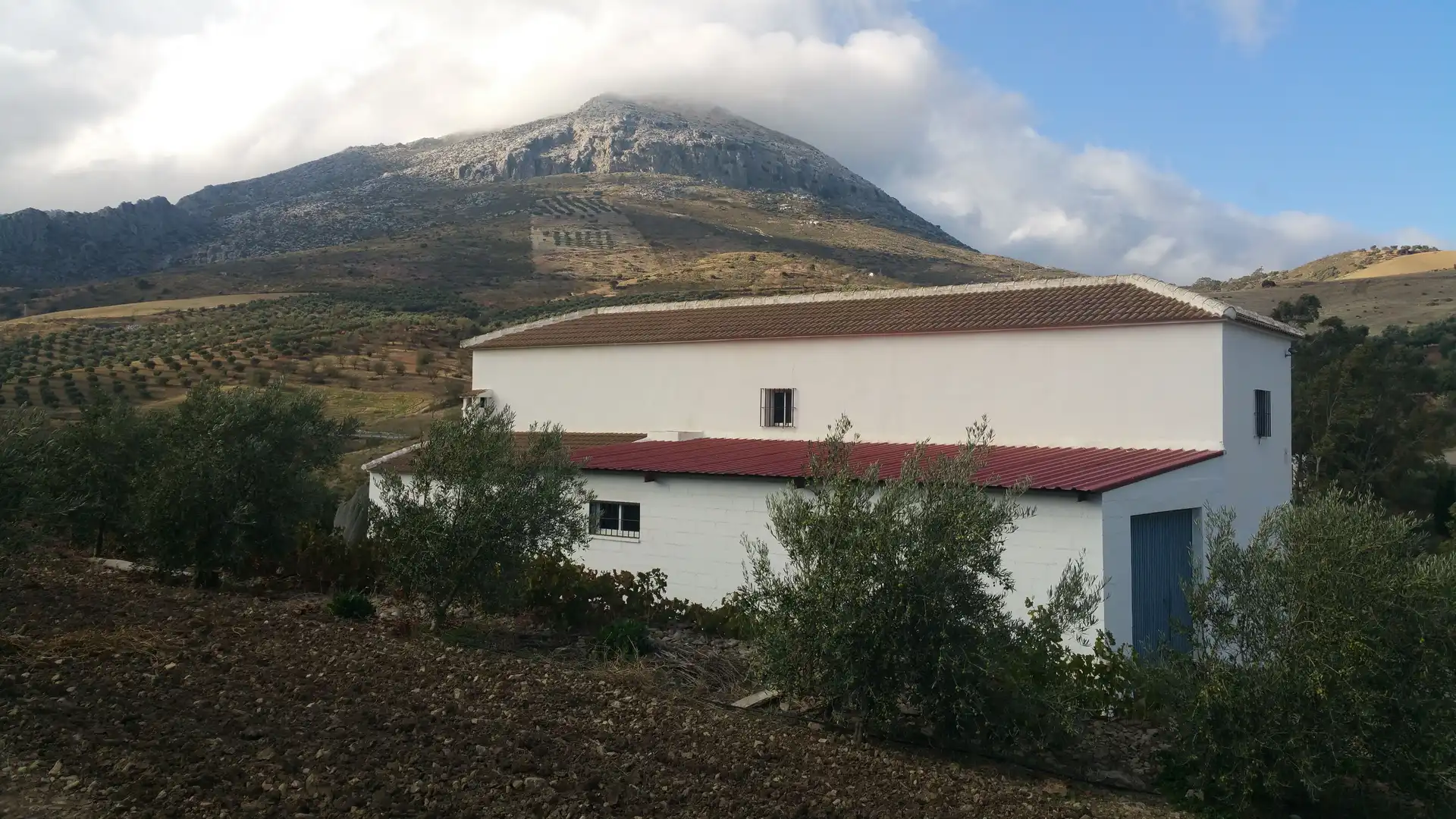 Vista exterior de Finca rústica en venta en Antequera con Trastero