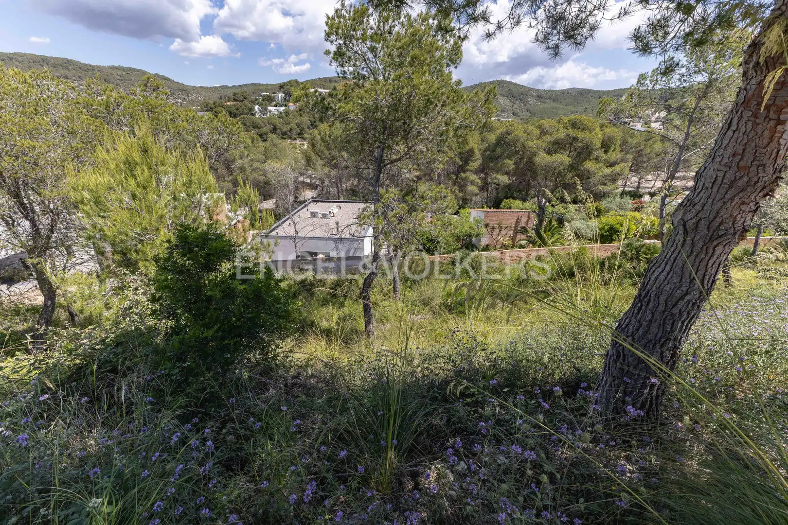 Residential land for sale in Mas Alba, imagen 14