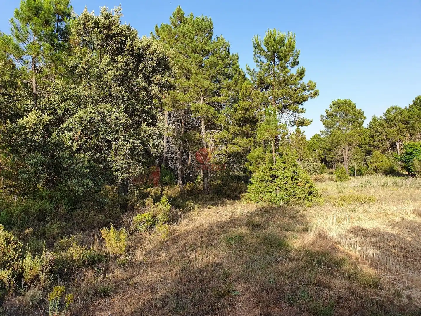 Terreni e lotti in vendita a JABAGA, CTRA. MADRID,, imagen 20