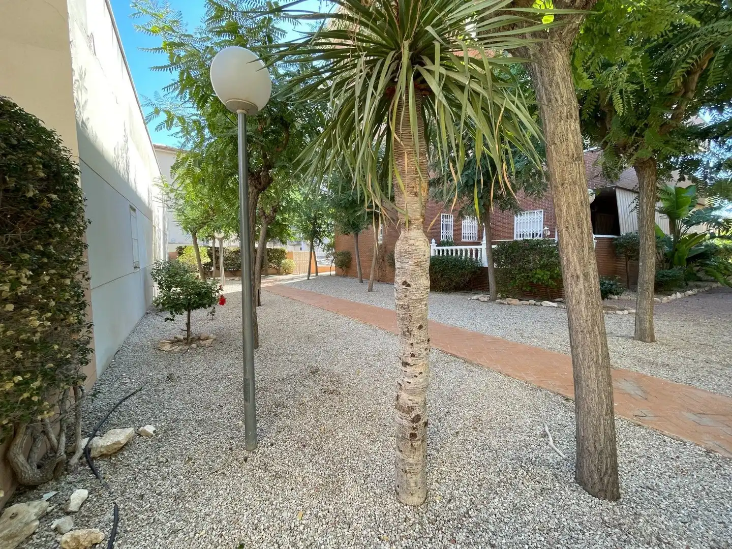 Exterior view of Detached homes for sale in Elche / Elx