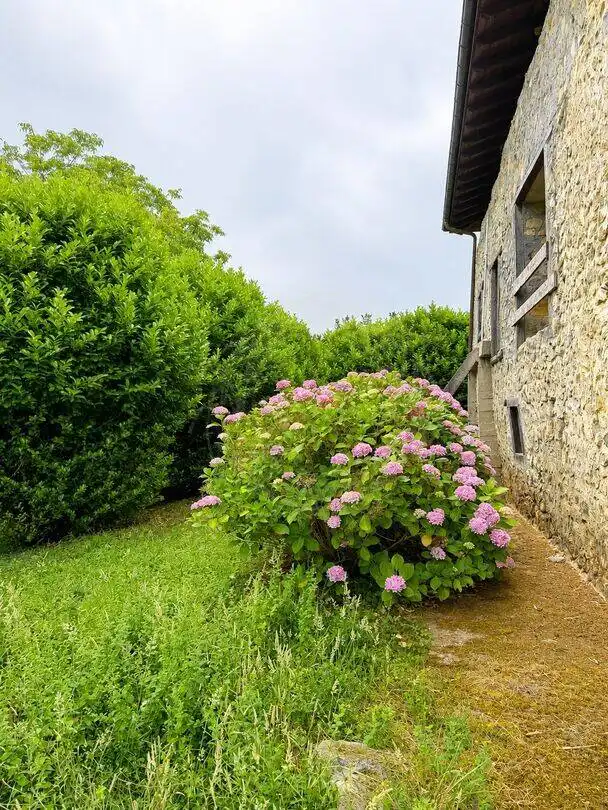 Jardí de Casa o xalet en venda en Areatza amb Terrassa
