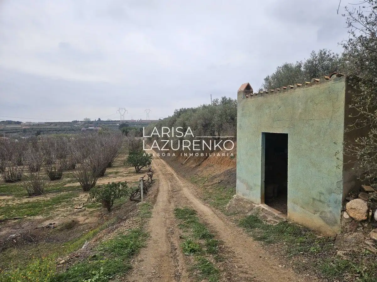 Finca rústica en venda en Riudoms
