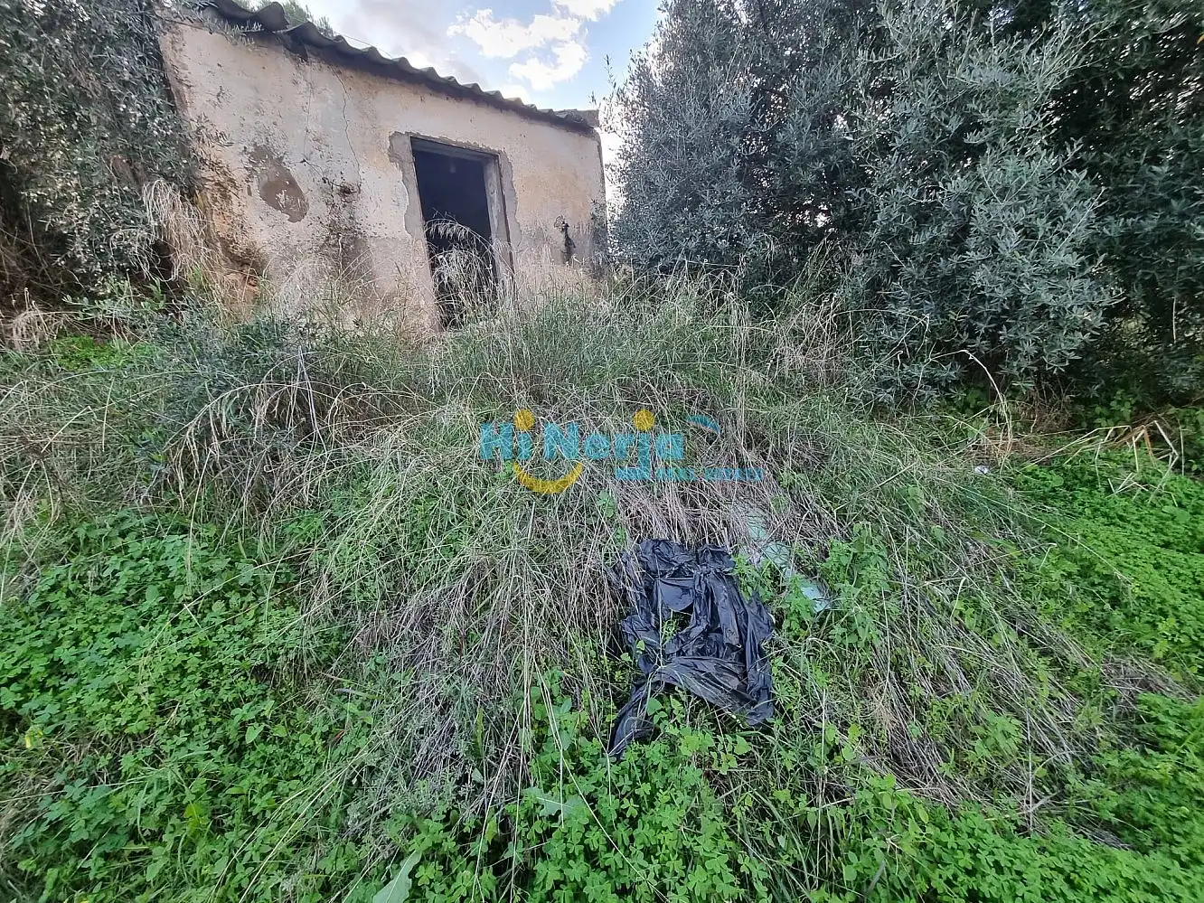 Houses for sale in Nerja