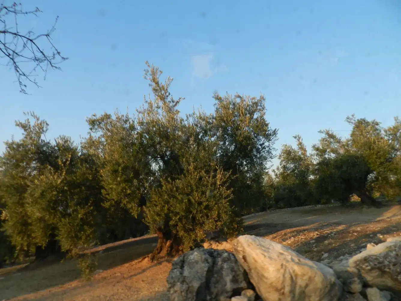 Terreni e lotti in vendita a Villanueva de la Reina, imagen 8