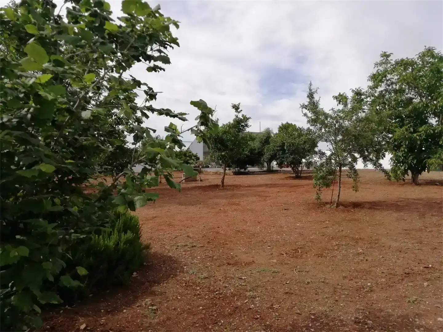 Flat for sale in Calle Halcón, 28, Almendralejo