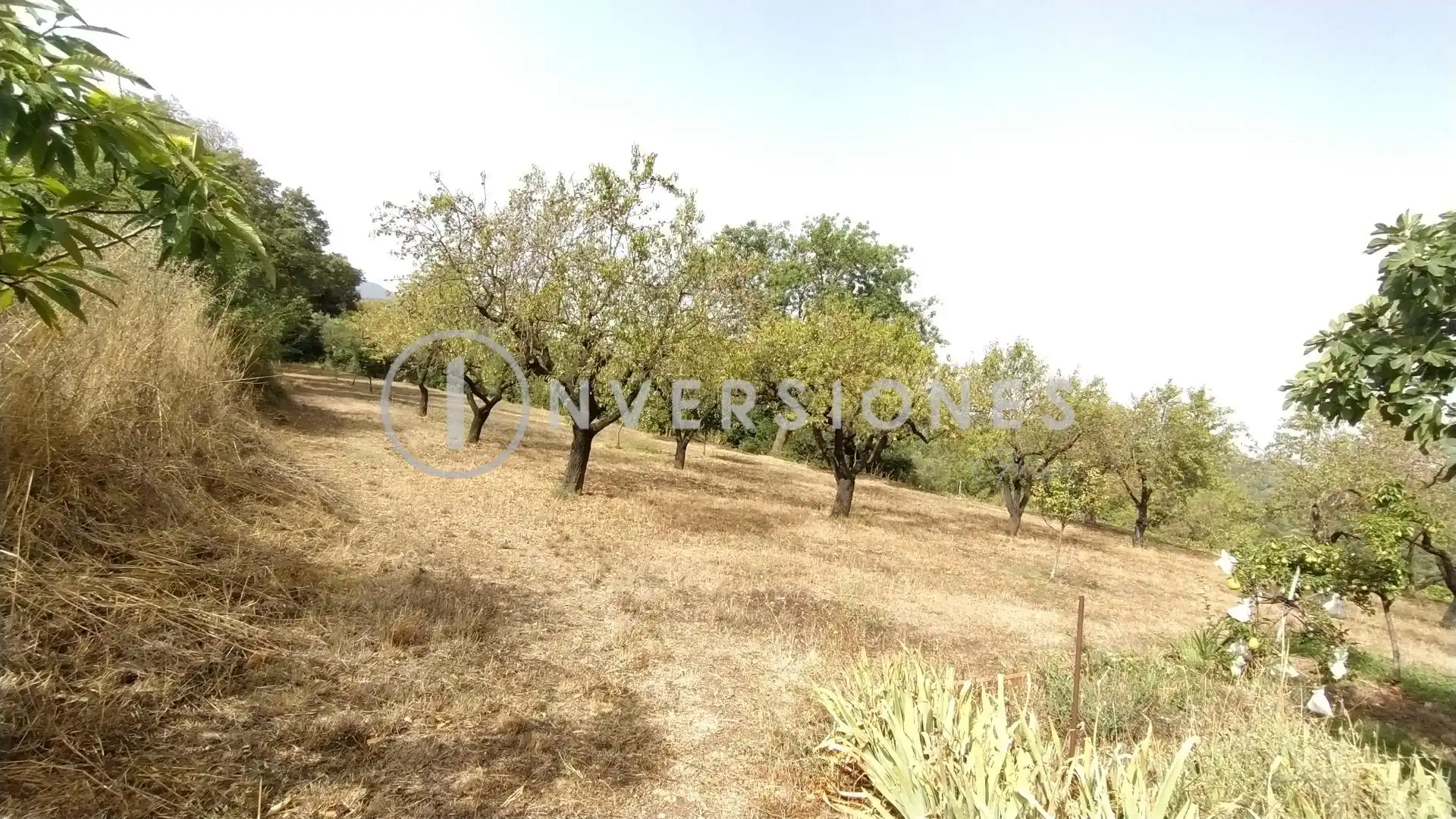 Country homes for sale in Vimbodí i Poblet  with Heating, Private garden and Terrace