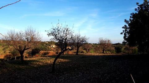 Photo 3 of Residential for sale in Disseminat S Espinagar, Manacor Centre, Manacor