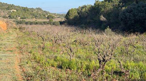 Terreno en venta en Albinyana