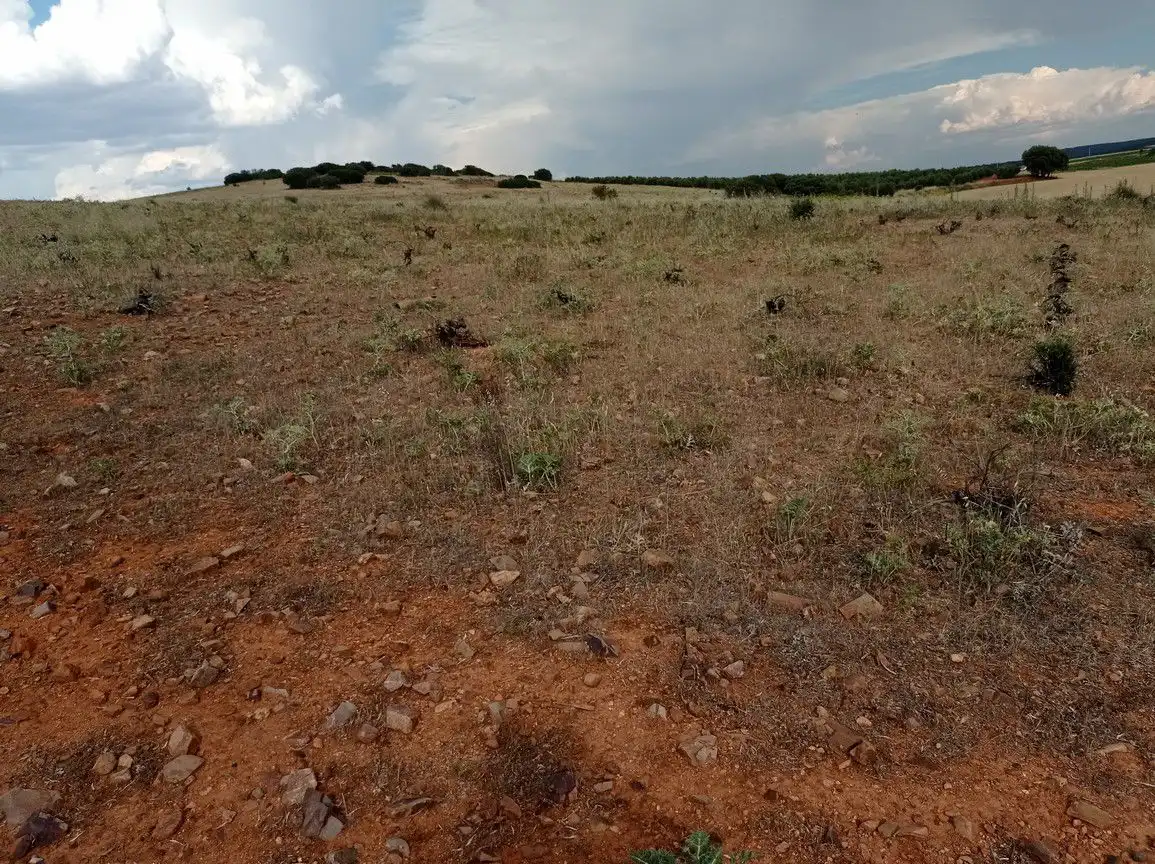 Finca rústica en venda en Cózar