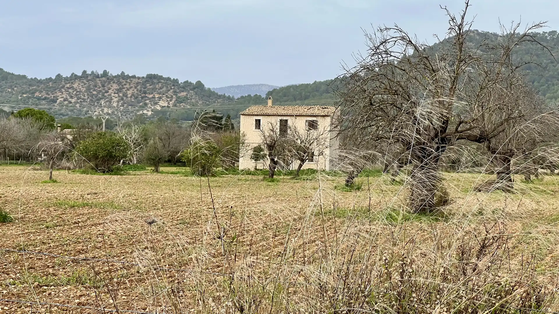 Maison rustique à vendre à Binissalem, imagen 22