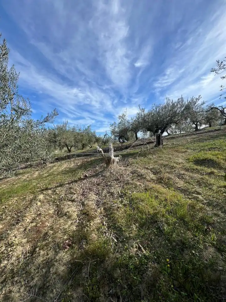 Terreno rustico in vendita a Guaro, imagen 6