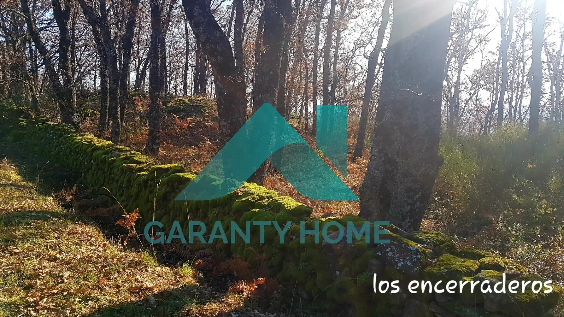 Finca rústica en venta en Aldeanueva de la Vera