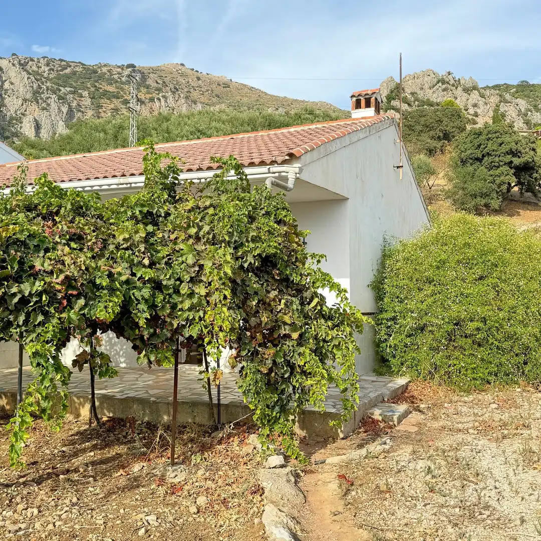 Jardín de Casa o chalet en venta en Alfarnatejo con Jardín privado, Terraza y Trastero